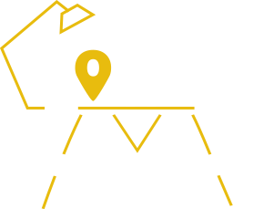 Cow-B